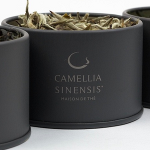 Thés Camellia Sinensis